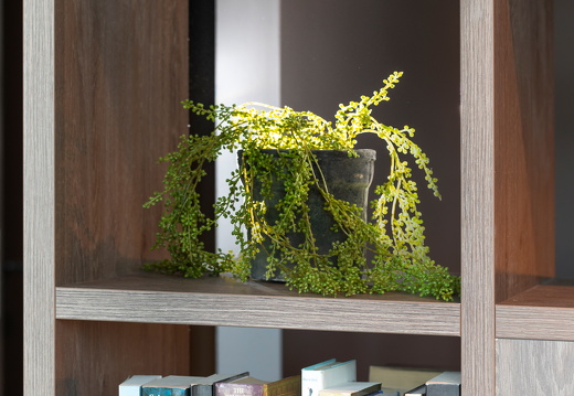 projecten morphdesign